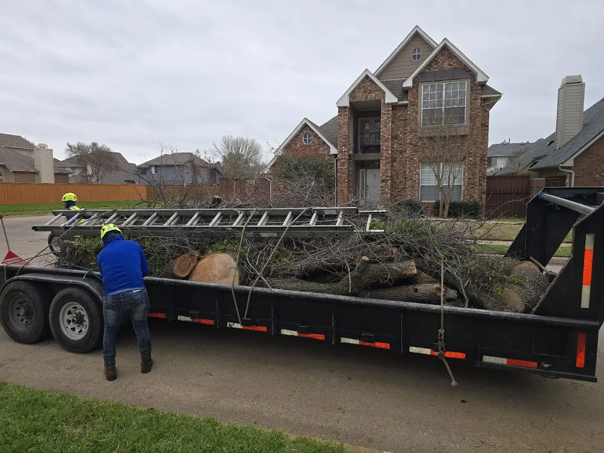 Expert Crown Reduction with proper safety equipment in Mendon